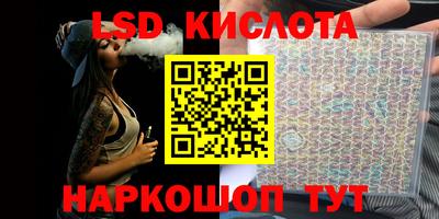 крисы Нижний Тагил